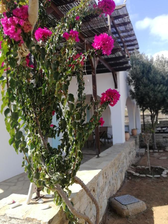 Gio St Gio Apartment 1 Antiparos St.Giorgio Exterior photo